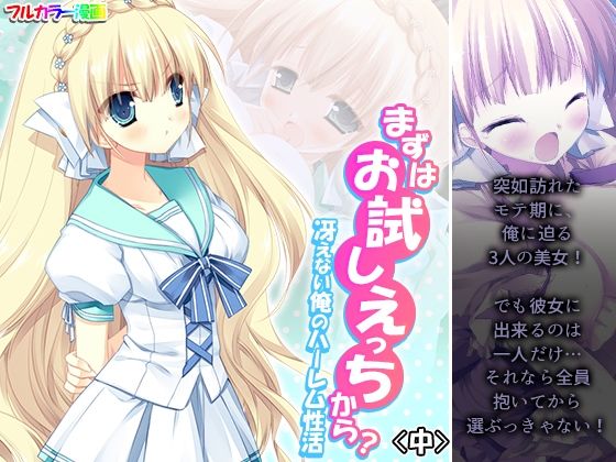 【まずはお試しえっちから？冴えない俺のハーレム性活 中】悶々堂