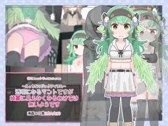 【透明になるマントですが綺麗に見えなくなるわけでは無いようです】らーすとちゅか
