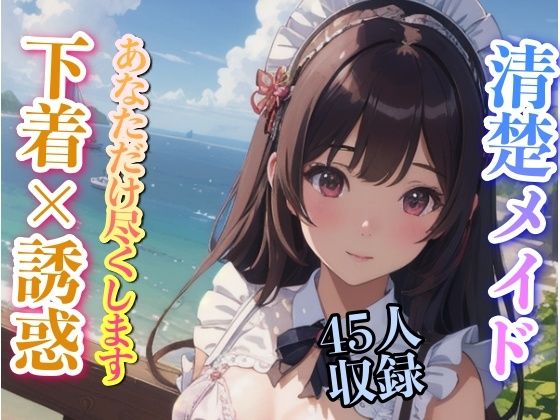 【清楚メイド 下着で誘惑 あなただけに尽くします 45人収録】妄想性癖