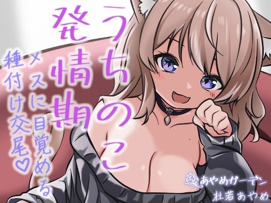 【うちのこ発情期 メスに目覚める種付け交尾】あやめガーデン