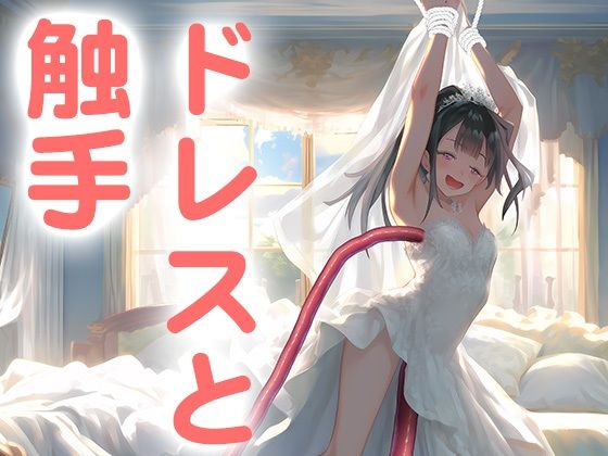 【ドレス美少女18 触手に弄られて気持ち良くなっちゃう】Dresscco