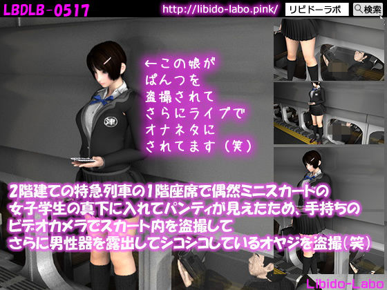 【2階建ての特急列車の1階座席で偶然ミニスカートの女子学生の真下に入れてパンティが見えたため、手持ちのビデオカメラでスカート内を盗撮してさらに男性器をシコシコしているオヤジを盗撮(笑)】Libido-Labo