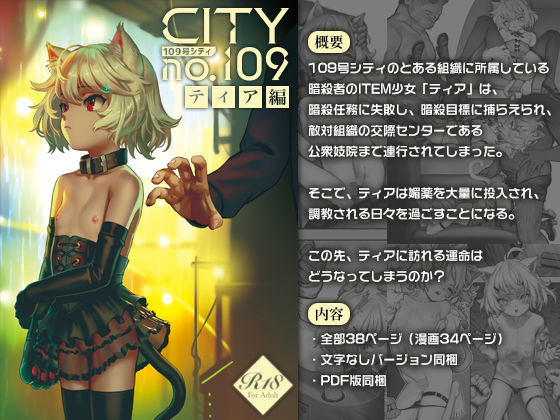 【CITY no.109 ティア編】正経同人