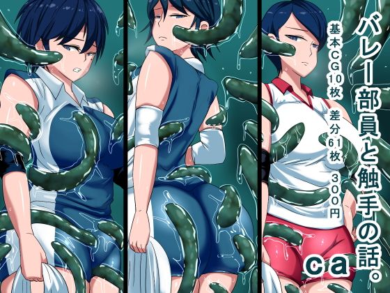 【ca】s（ムチムチメイン）