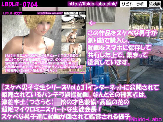 【●【スケベ男子学生シリーズVol.63】インターネットに公開されて販売されているパンチラ盗撮動画。なんとその被害者は、津差宇土（つさうと）学校の才色兼備・高値の花の超絶マイクロミニスカートな生徒会長！スケベな男子達に動画が回されて鑑賞される様子。】Libido-Labo