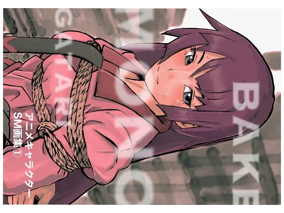 【アニメキャラクターSM画集1】きゅうり夫人