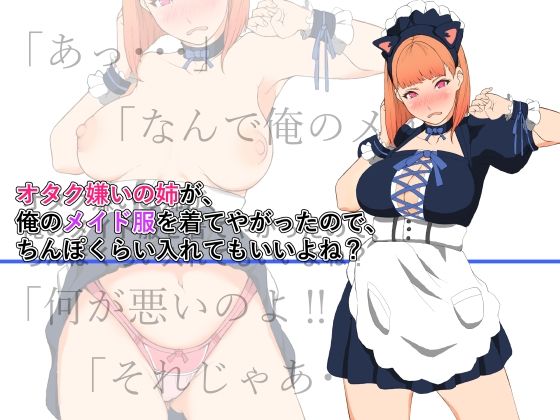 【オタク嫌いの姉が、俺のメイド服を着てやがったので、ちんぽくらい入れてもいいよね？】雨照月影（旧：いいゆだね）