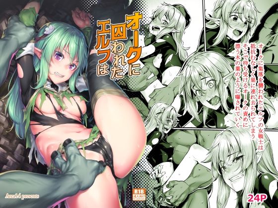 【オークに囚われたエルフは】エリア14