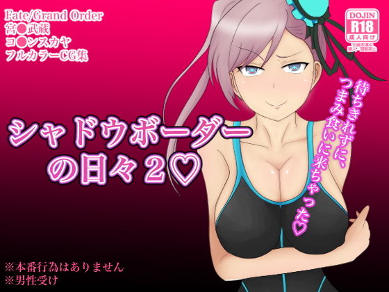 【シャドウ・ボーダーの日々2】のすとらだむす