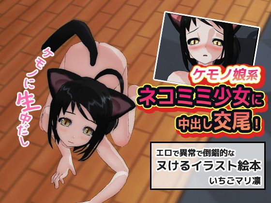 【ネコミミ少女に中出し交尾！】同人美少女イラスト
