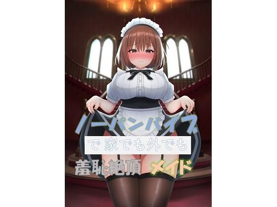 【ノーパンバイブで家でも外でも羞恥絶頂メイド】ノーパンバイブ愛好会