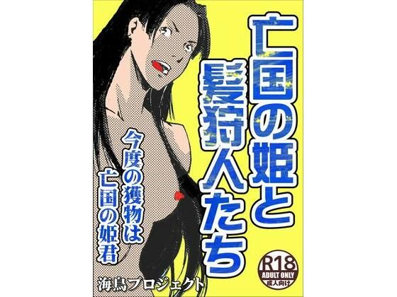 【亡国の姫君と髪狩人たち】海鳥プロジェクト