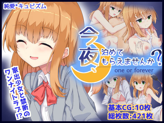 【今夜、泊めてもらえませんか？ -one or forever-】純愛＊キュビズム