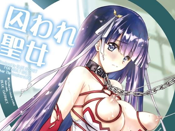 【囚われ聖女】ブルーガーネット