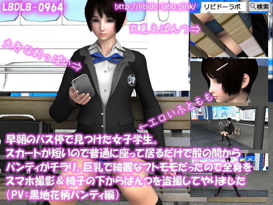 【早朝のバス停で見つけた女子学生。スカートが短いので普通に座って居るだけで股の間からパンティがチラリ。巨乳で綺麗なフトモモだったので全身をスマホ撮影＆椅子の下からぱんつを盗撮してやりました（PV:黒地花柄パンティ編）】Libido-Labo