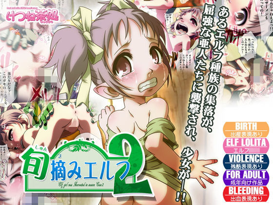 【旬摘みエルフ 第2章】けつね茶処