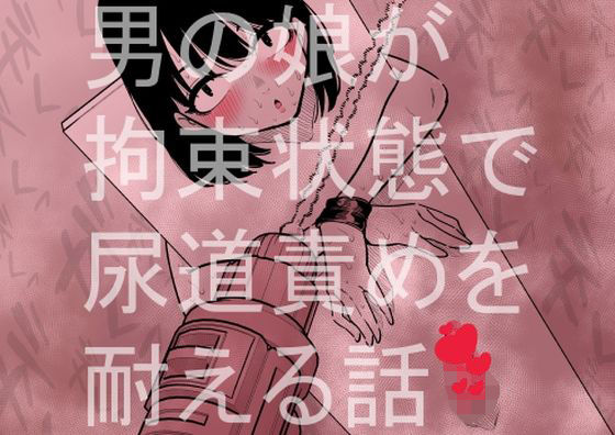 【男の娘が拘束状態で尿道責めを耐える話】蜂蜂蜂
