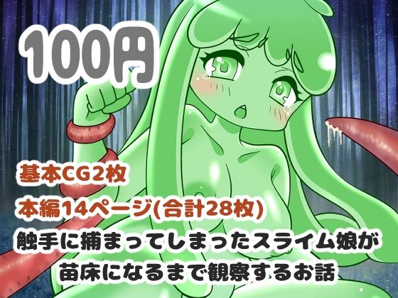 【触手に捕まってしまったスライム娘が苗床になるまで観察するお話】お惣菜屋さん