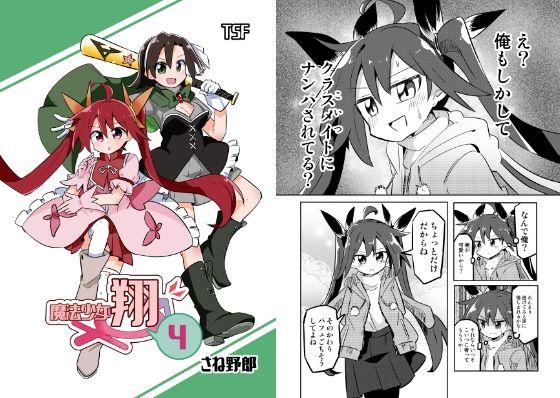 【魔法少女翔4】さね野郎