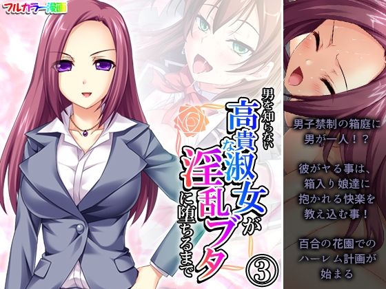 【男を知らない高貴な淑女が淫乱ブタに堕ちるまで 3巻】あまからや