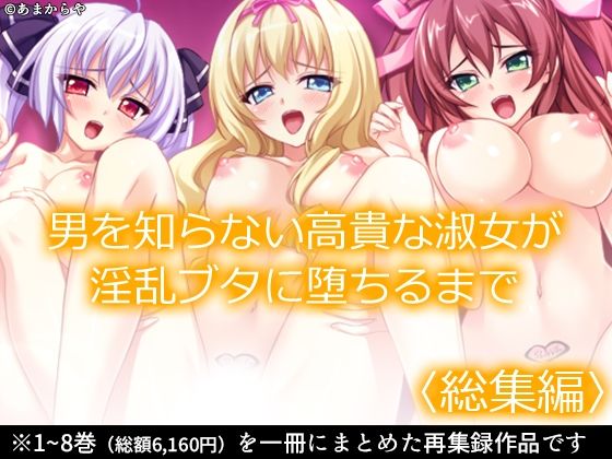 【男を知らない高貴な淑女が淫乱ブタに堕ちるまで  ＜総集編＞】あまからや