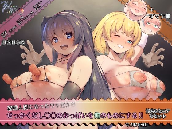 【透明人間になったワケだから せっかくだし○○のおっぱいを俺のものにする！！ 沙奈＆セニア Wセット】ほわいとロケット