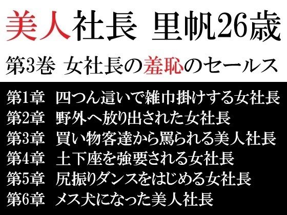【美人社長 里帆26歳 第3巻 女社長の羞恥のセールス】海老沢 薫