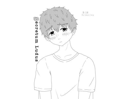 【Secretum Ludus】てんためんた