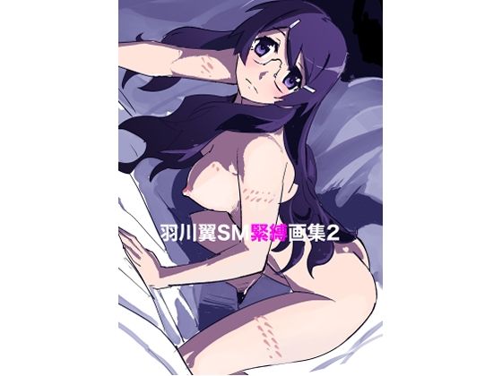 【羽川翼SM緊縛画集2】縛っちゃうおじさん