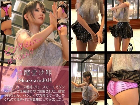 【【chrl100】二階堂沙耶の下着モデル写真集-Sleazywind-03c】Libido-Labo