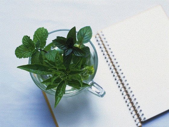【おむつ現役JK作家の最期】リョナの監獄