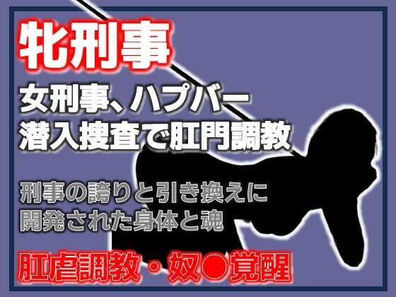 【雌刑事・ハプバー潜入捜査で肛門調教され堕ちる】Aine Grace