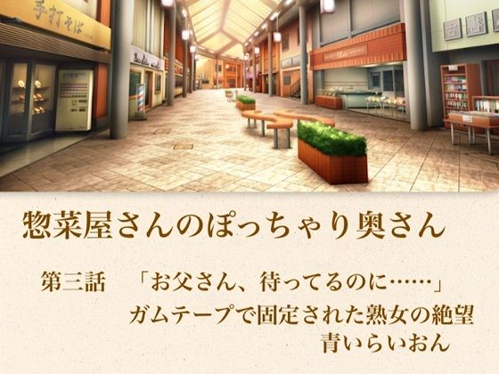 【【官能小説】惣菜屋さんのぽっちゃり奥さん  第三話  「お父さん、待ってるのに……」ガムテープで固定された熟女の絶望】青いらいおん